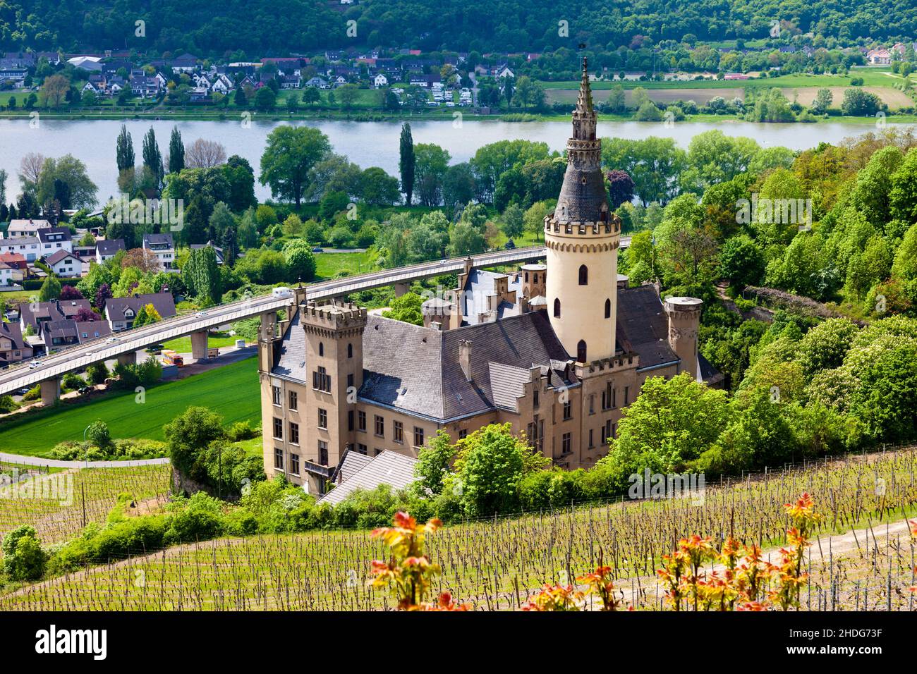 vignoble, château arenfels, vignobles Banque D'Images