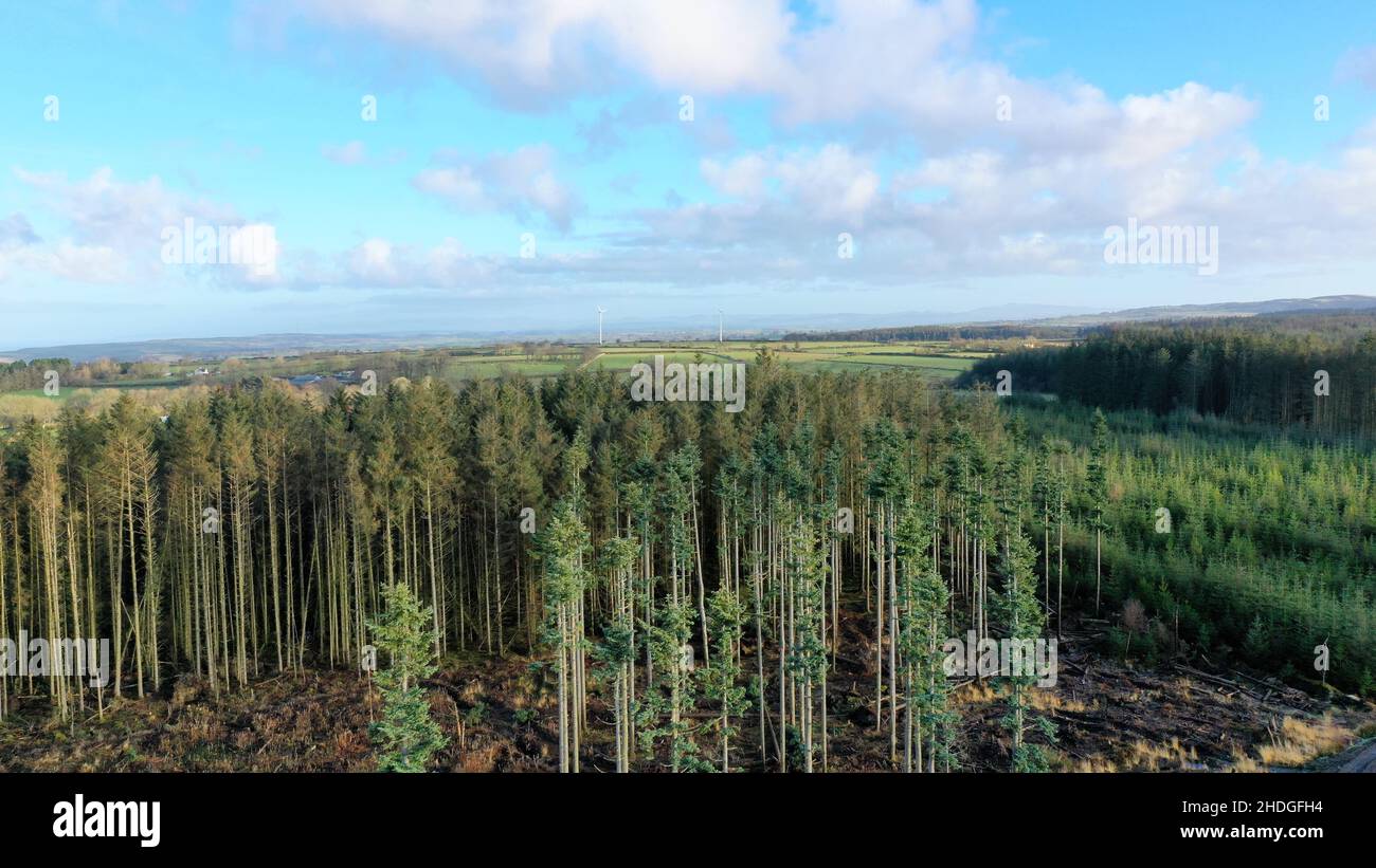 Photographie aérienne d'une forêt et d'un village appelé Cross Inn, surplombant les champs, les arbres et les maisons. Banque D'Images