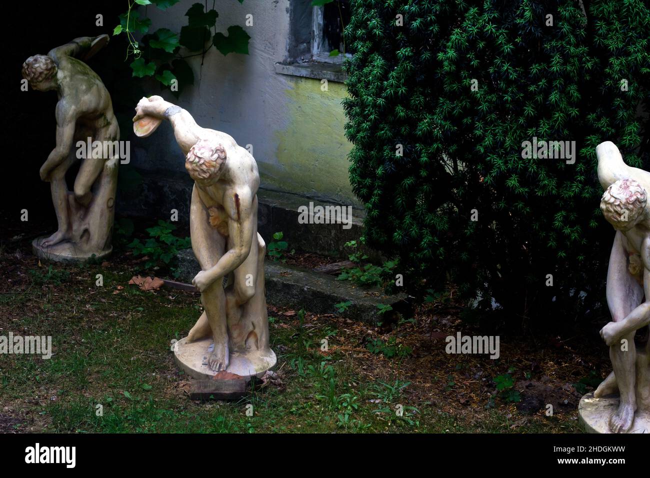 arrière-cour, lanceur de discus, backyards, lanceurs de discus Banque D'Images