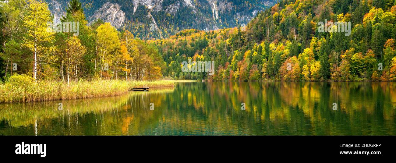 magnifique paysage avec forêt colorée et arbres Banque D'Images