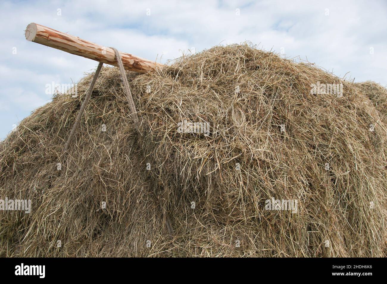 foin, charrette à cheval, hays, charrettes à cheval Banque D'Images