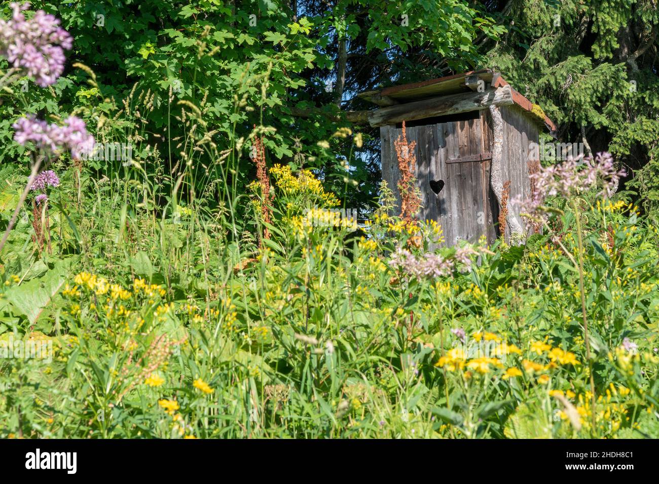 outhouse, lieu, plumsklo, outhouses, lieus Banque D'Images