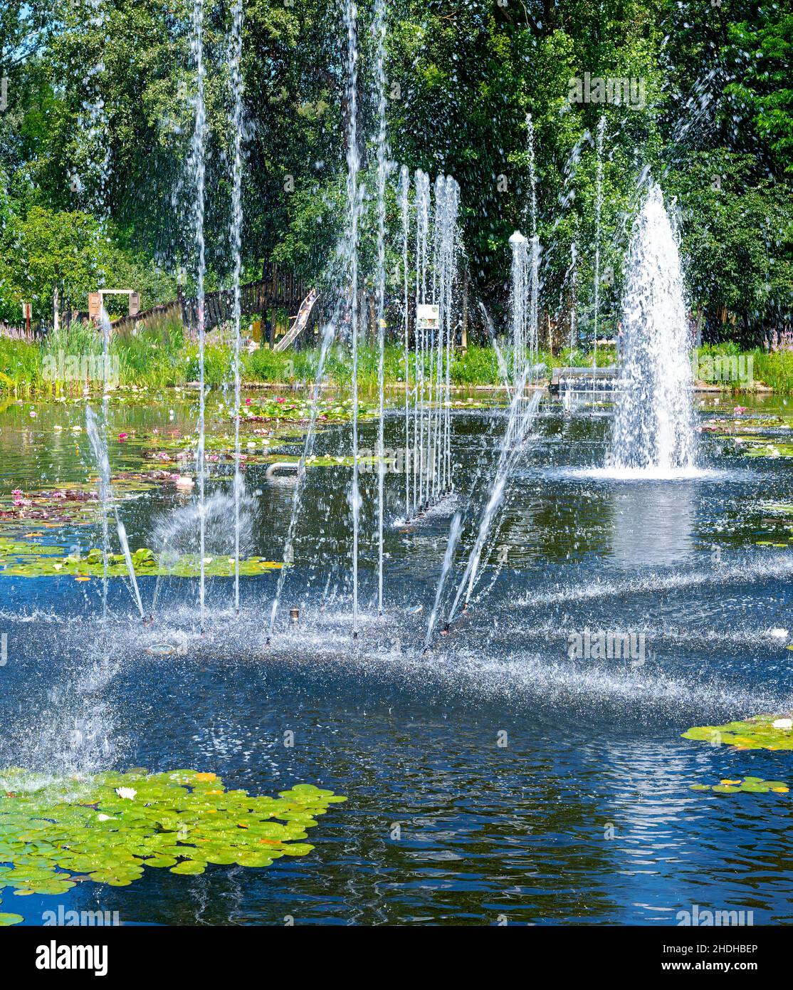 Fontaines d'eau dans l'étang de nénuphars de l'exposition 'Garden Tulln', Autriche Banque D'Images