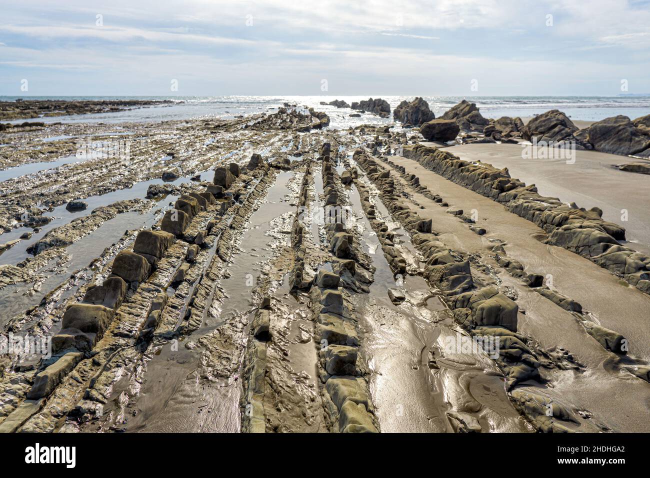 Crêtes en pierre d'une plage rocheuse de la province de Puntarenas au Costa Rica. Banque D'Images