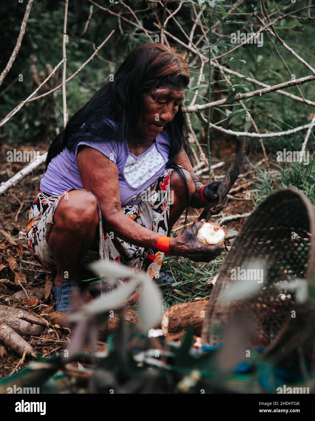 Femme indigène cultivant le yucca dans la forêt amazonienne Banque D'Images
