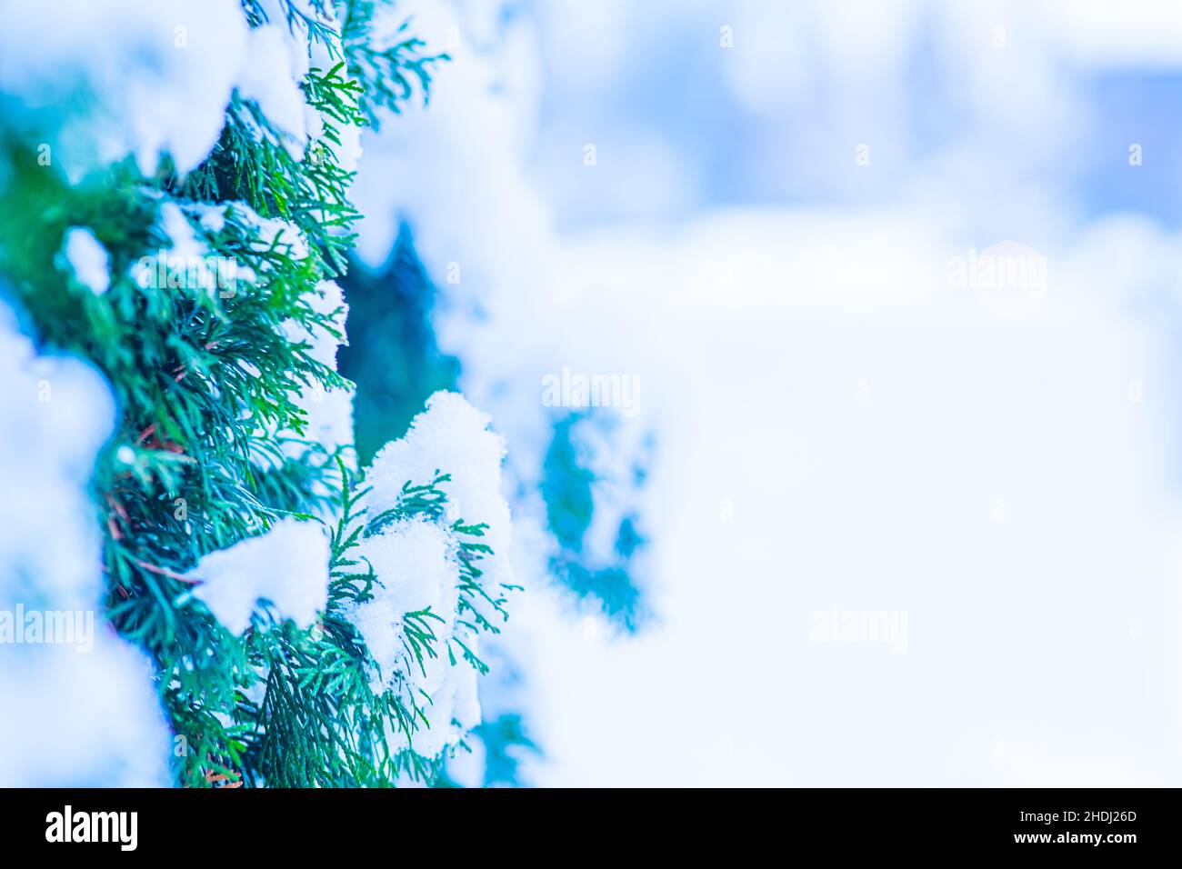 Hiver magie d'arrière-plan rêveur avec espace de copie pour le texte Banque D'Images