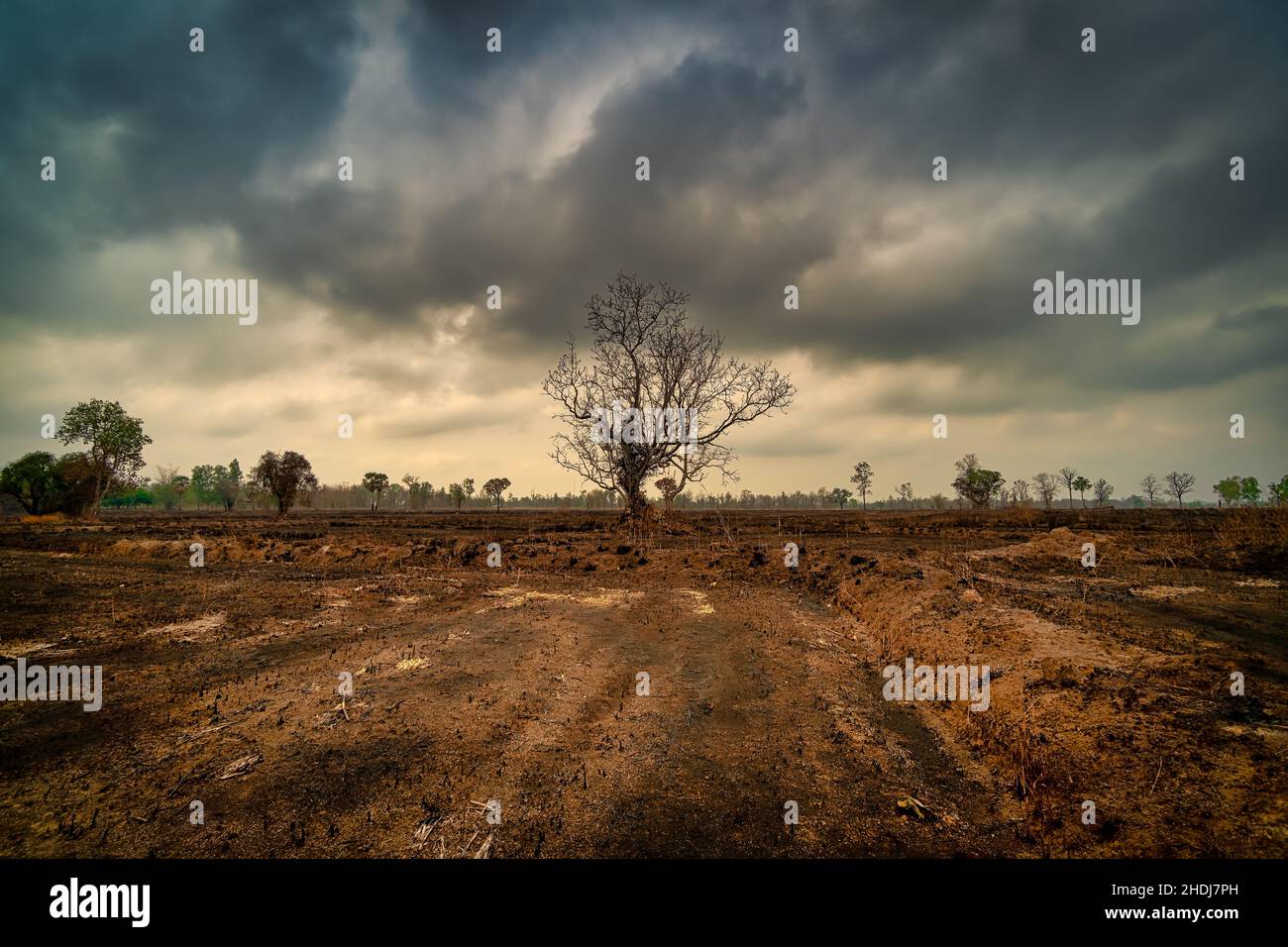 réchauffement climatique, barre oblique et brûlante Banque D'Images