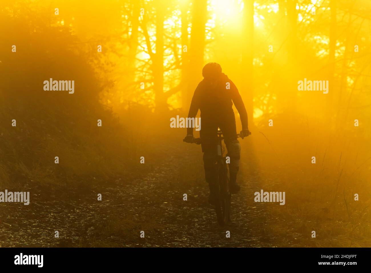 vtt, vtt, vélo de montagne, tour à vélo, vélo, vélos,bmx, vtt, vtt, vtt, vtt, vtt, vtt,vélo de montagne Banque D'Images