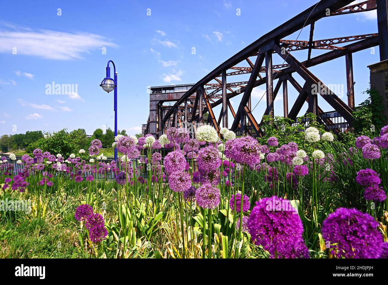 magdebourg, pont de bascule, magdeburgs, ponts de bascules, pont en porte-à-faux Banque D'Images