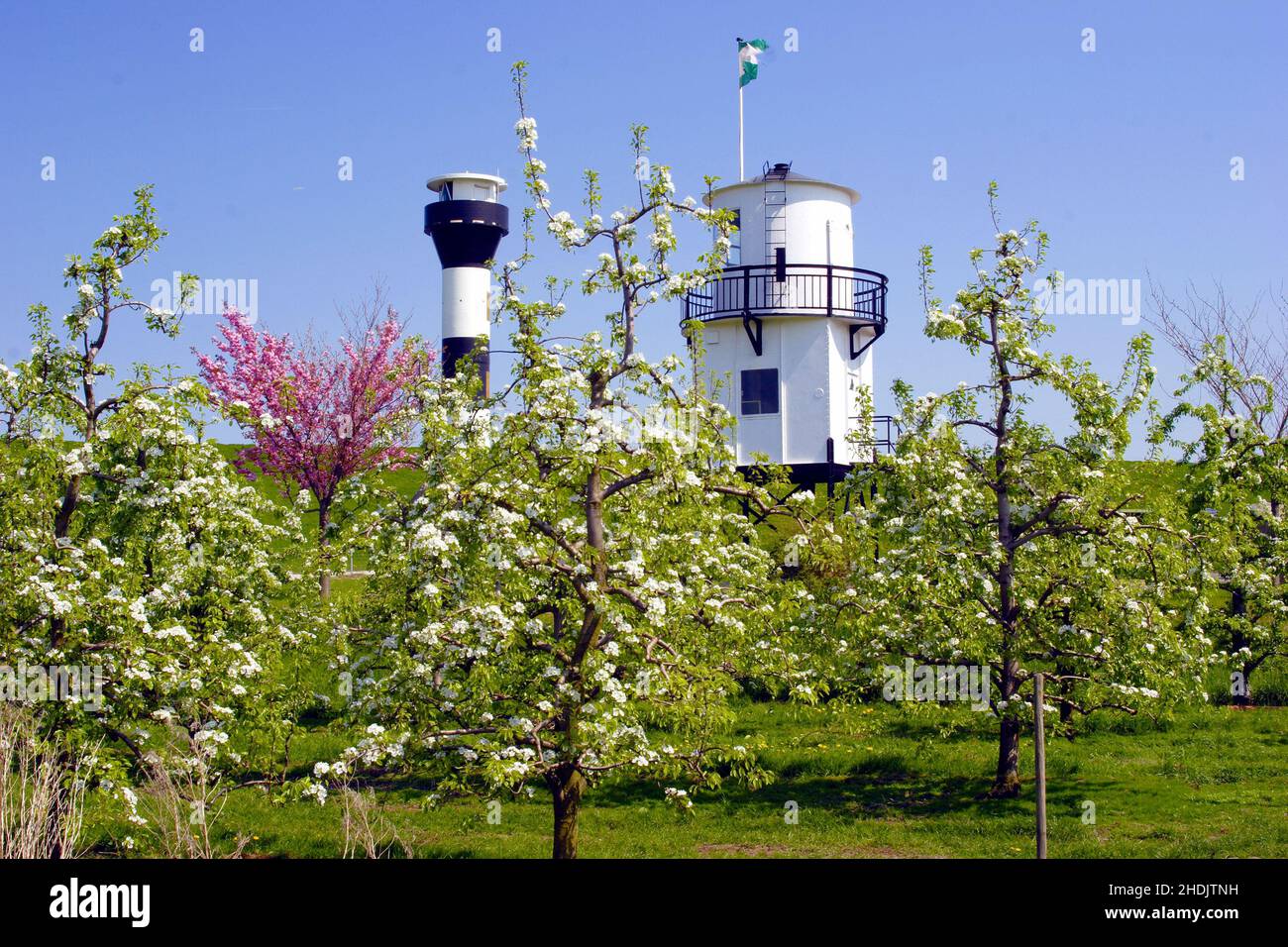 arbres fruitiers, vieux pays, arbres fruitiers, terres des altes Banque D'Images