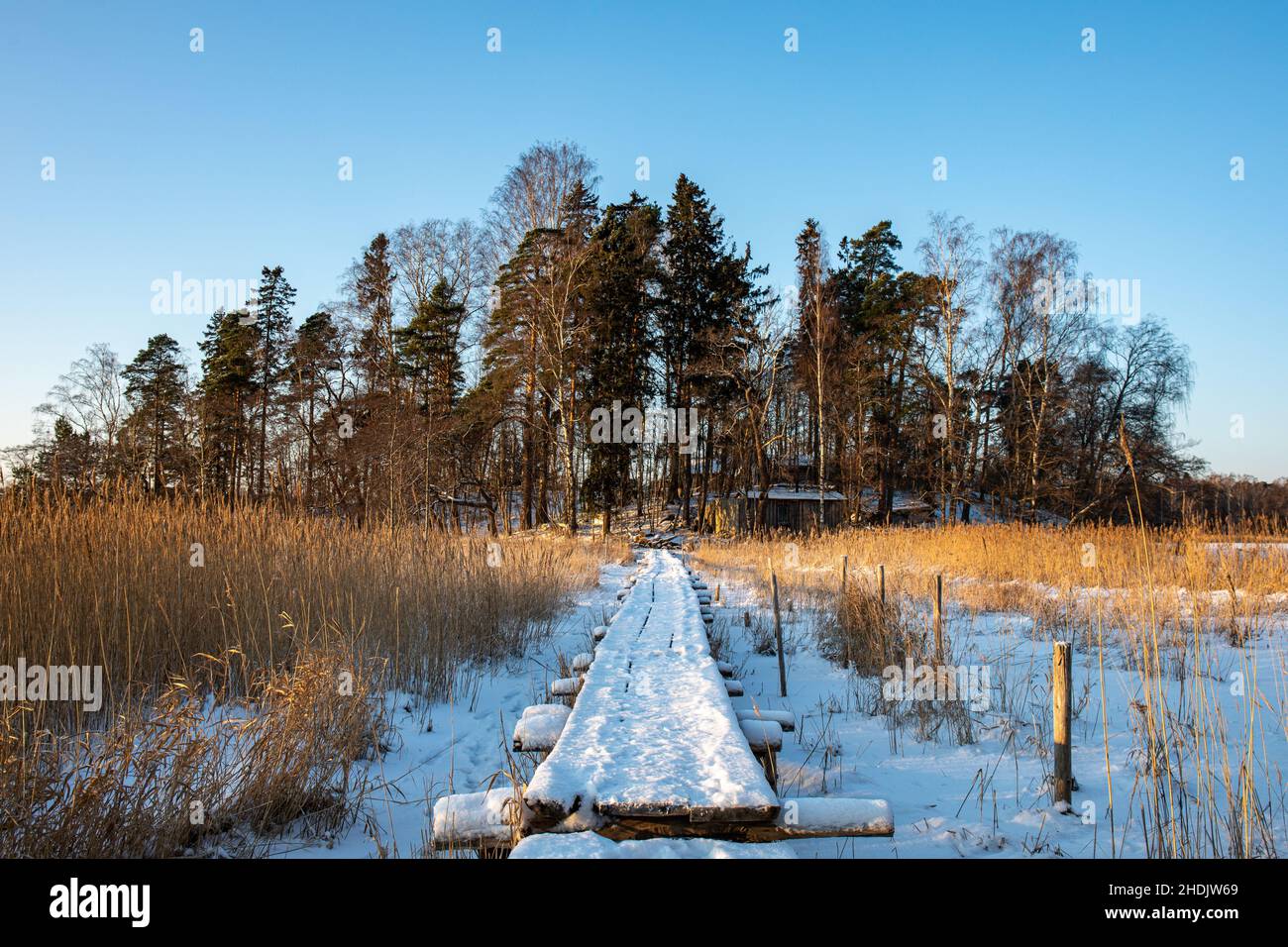 Des caillebotis enneigés à Pukkisaari dans le district de Vähä-Meilahti à Helsinki, en Finlande Banque D'Images