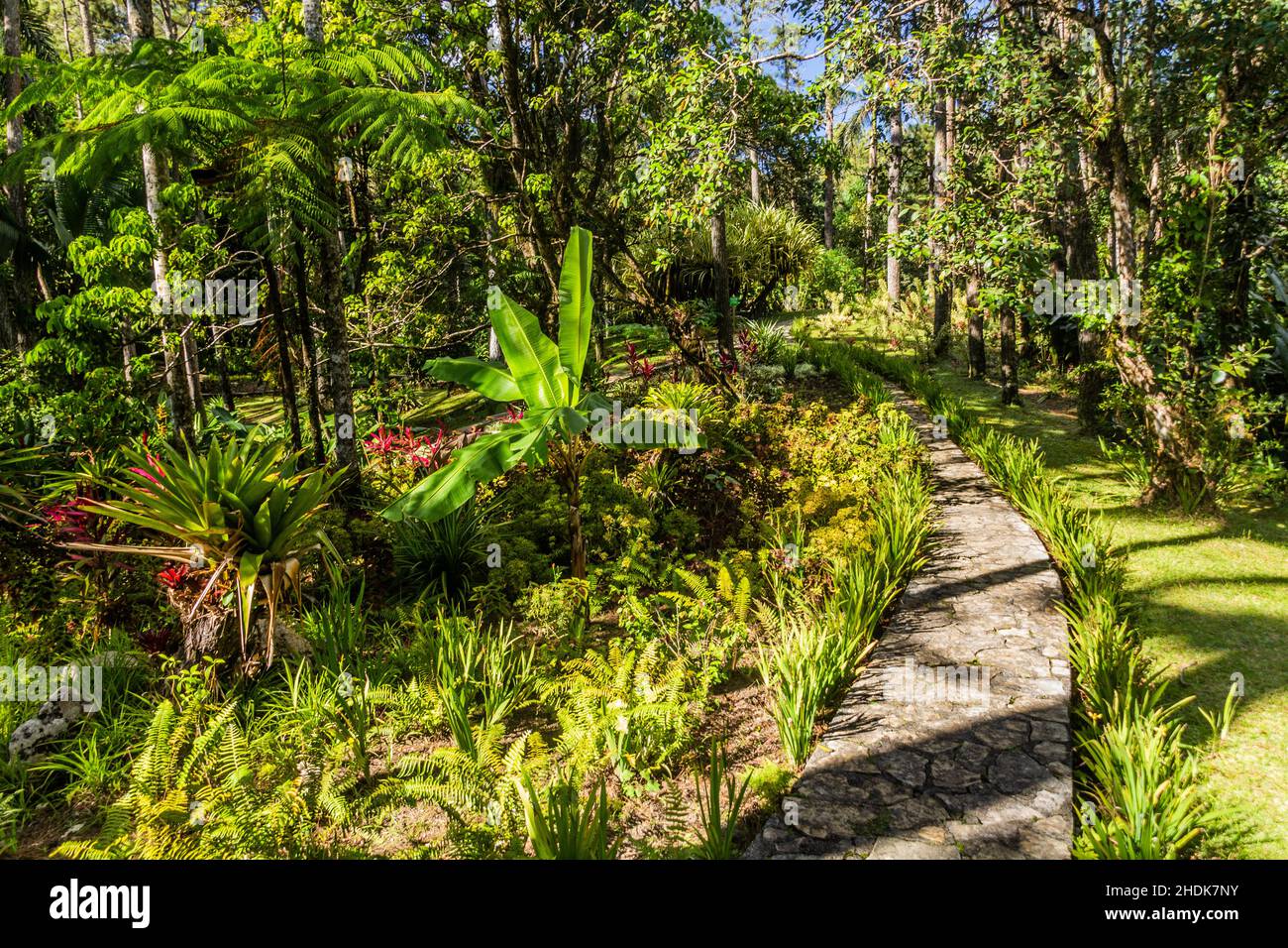 Jardins botaniques sur la montagne Pico Isabel de Torres au-dessus de Puerto Plata, République dominicaine Banque D'Images