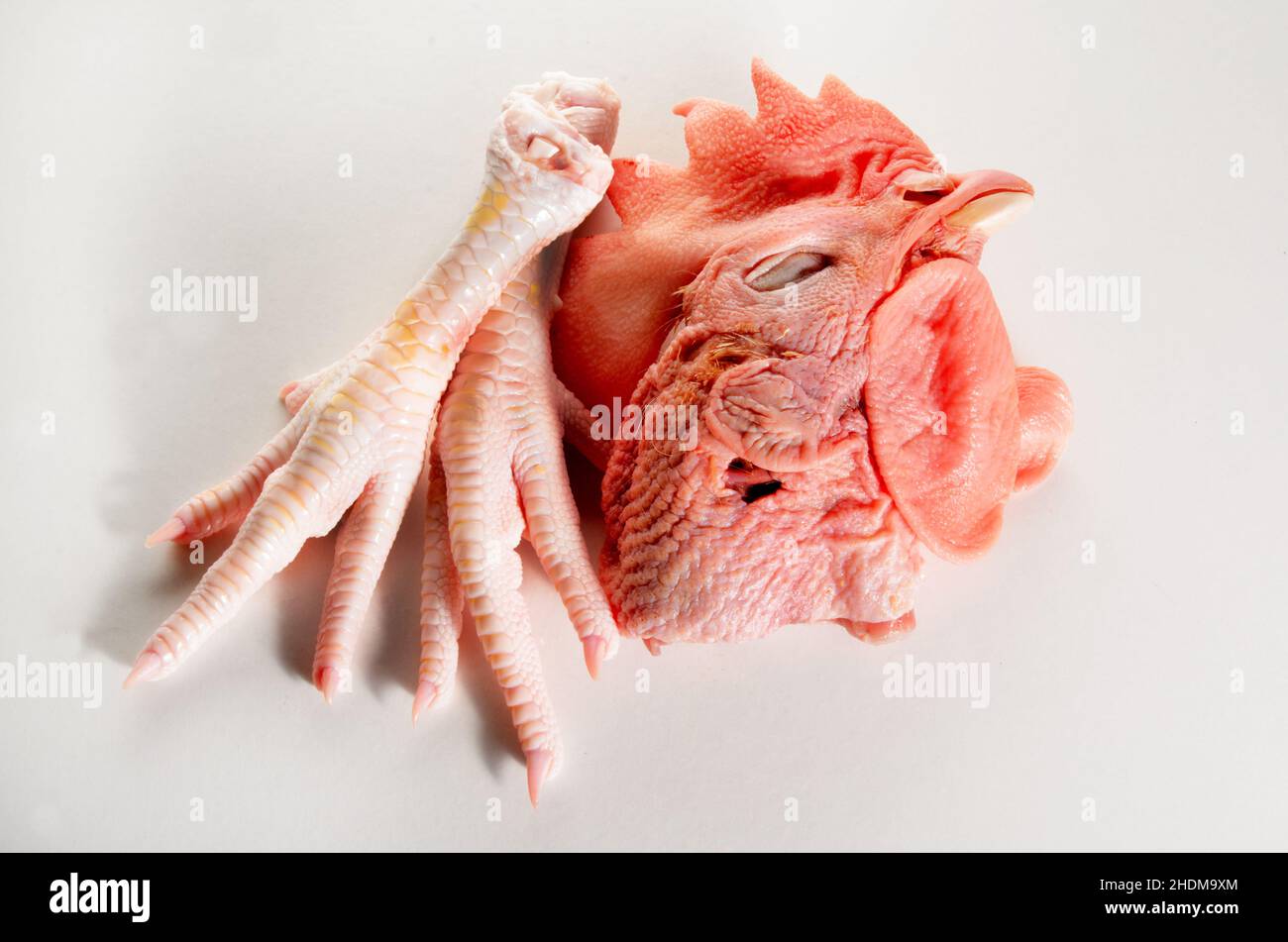animal mort, pieds de poulet, tête de poules, animaux morts, féettes de poulet Banque D'Images