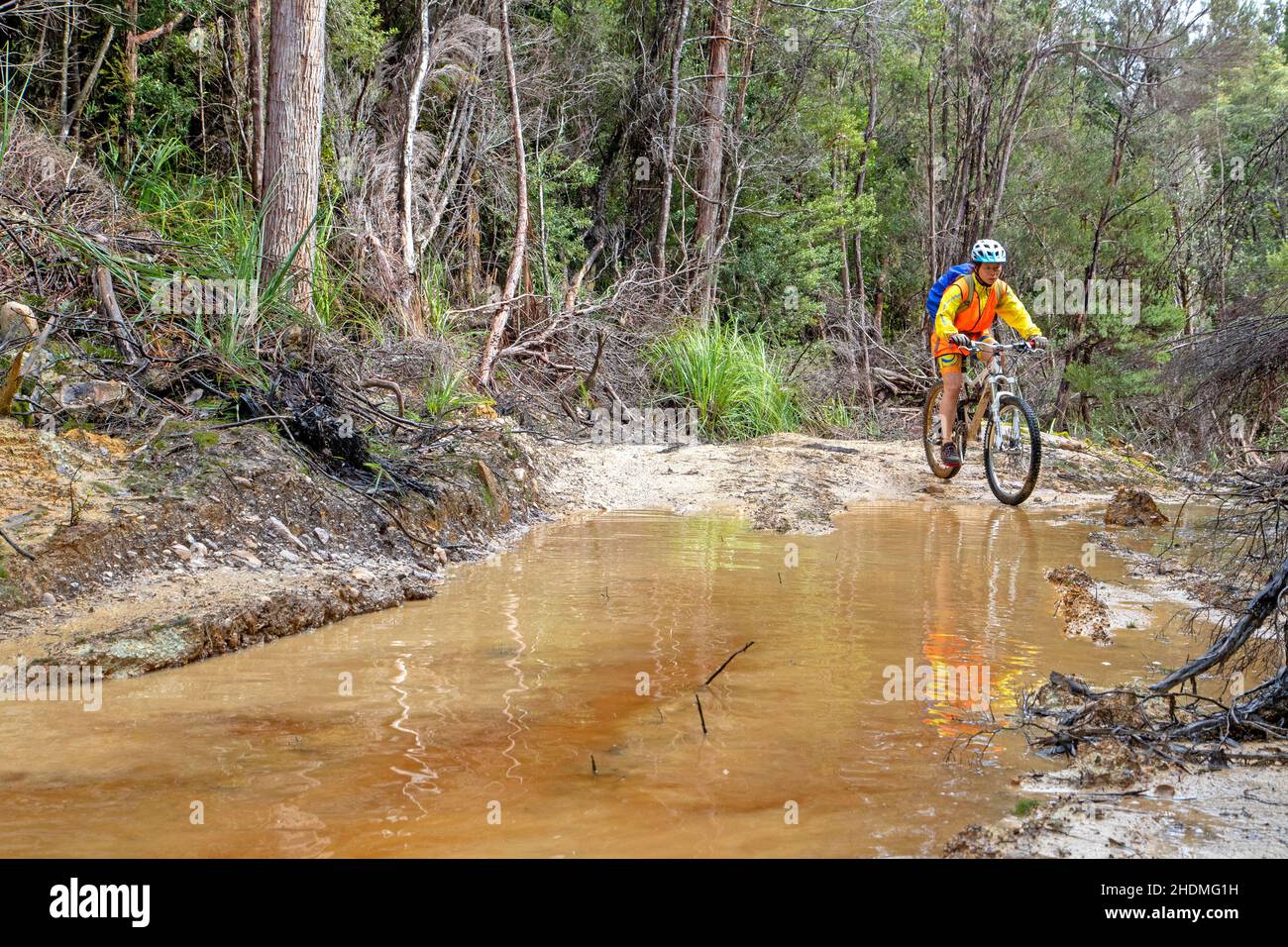 Cyclisme sur le Saw Back Track dans le sud-ouest de la Tasmanie Banque D'Images