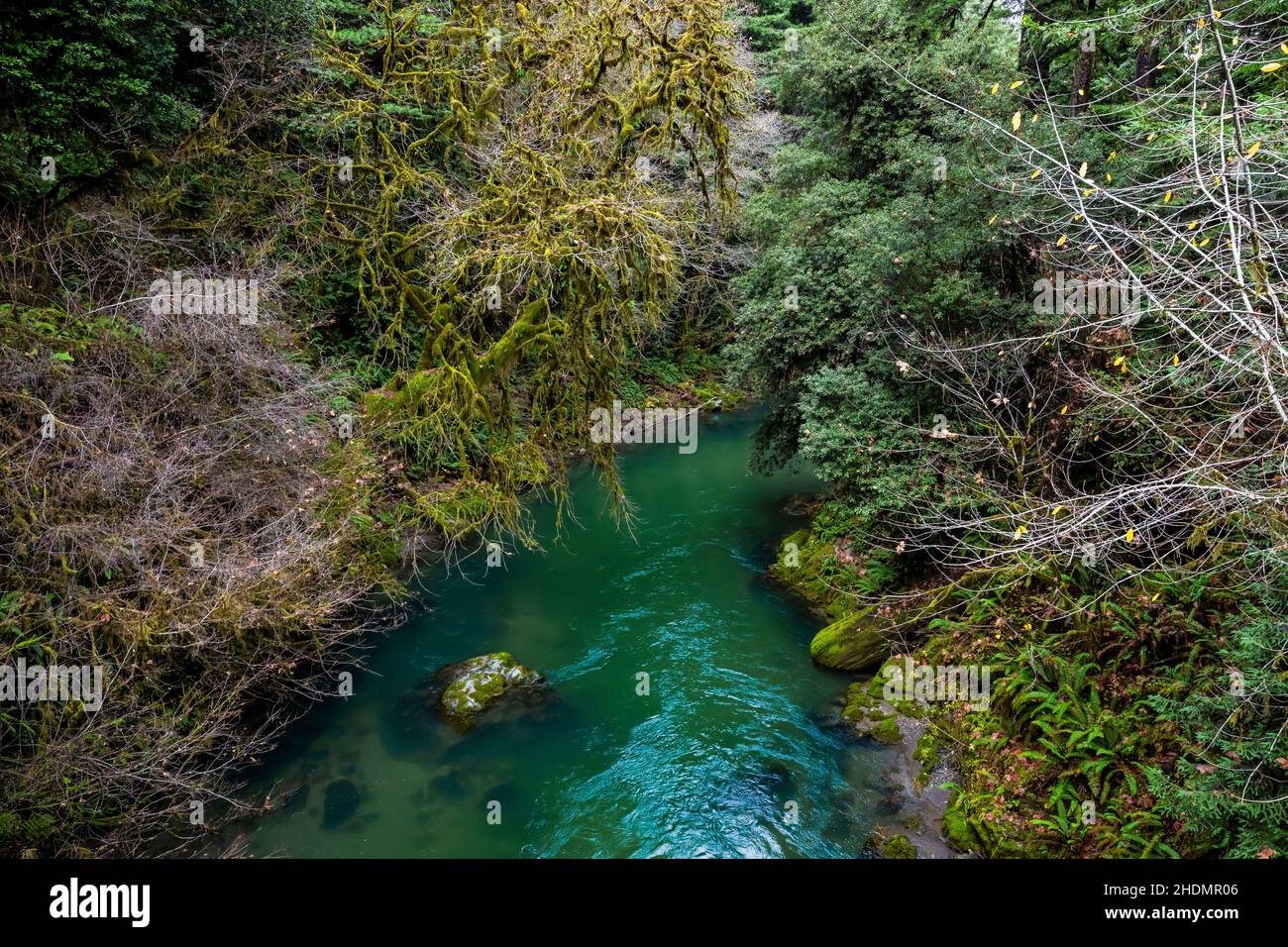 Mill Creek depuis le pont le long de Howland Hill Road dans le parc national Jedediah Smith Redwoods dans les parcs nationaux et nationaux de Redwood, Californie, États-Unis Banque D'Images