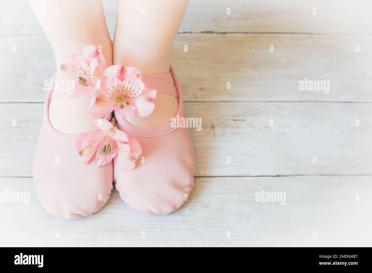 Pieds de fille en ballerines avec fleurs Banque D'Images