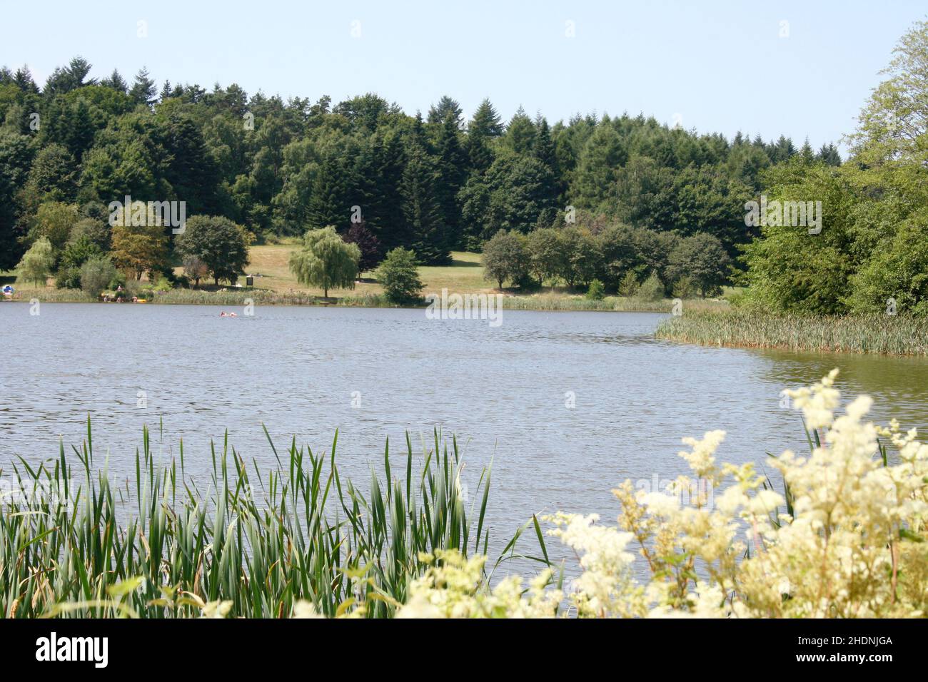 steusee losheim Banque D'Images