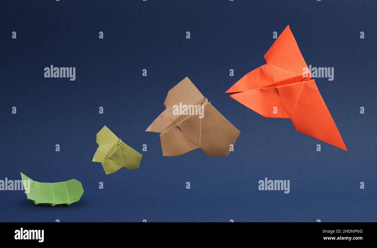 métamorphose, évolution, changement, métamorphies, transformation,transformation, évolutions Banque D'Images
