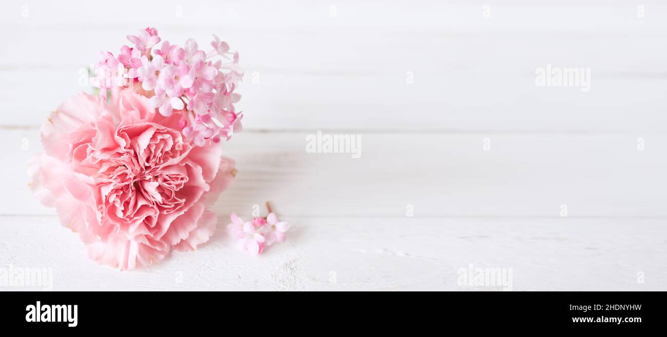 espace de copie, filigrane, carnation, espace de copie, fichiers,œillets Banque D'Images