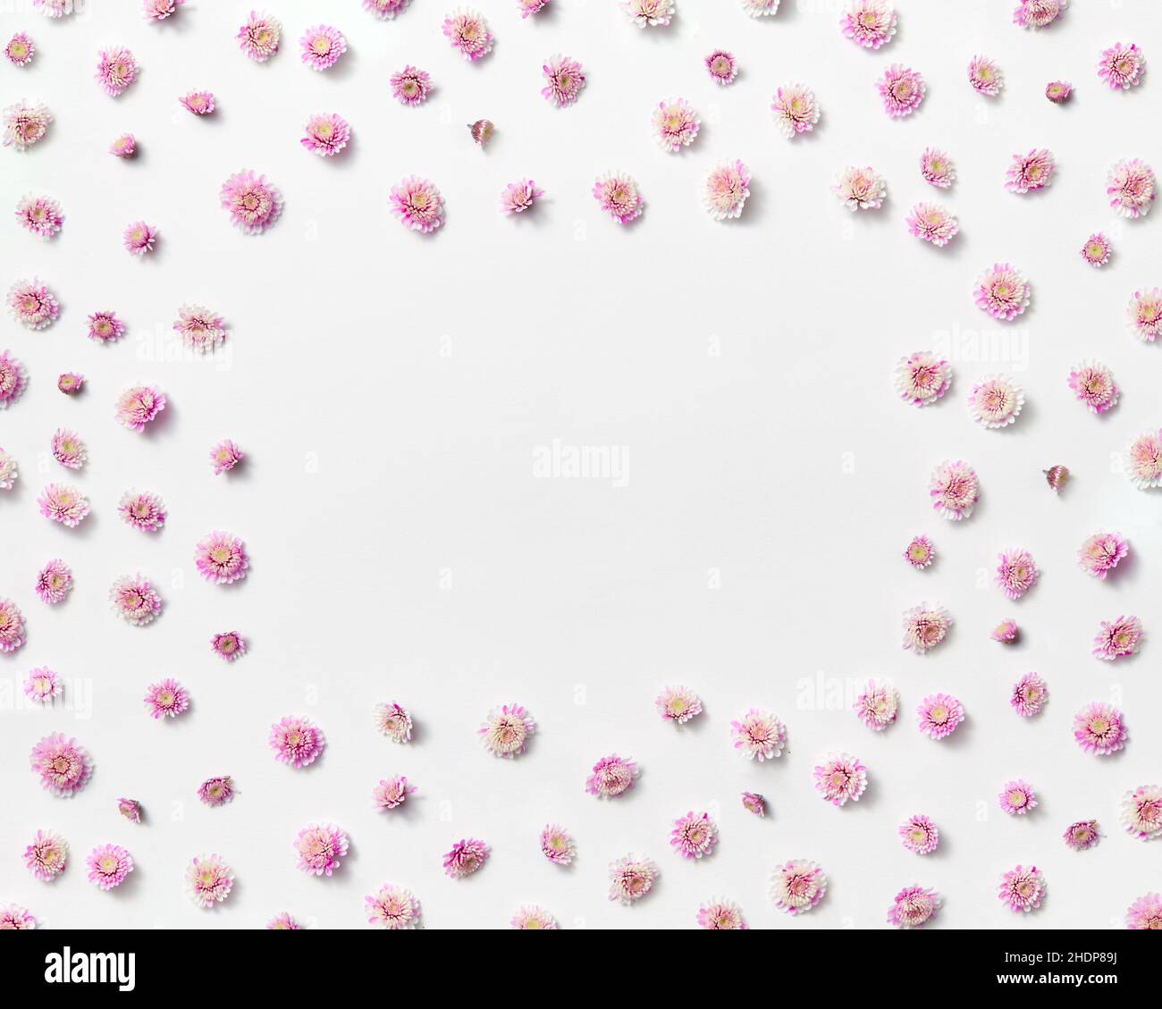 espace de copie, filigrane, daisy, logiciel, espace de copie,filigrees, pâquerettes Banque D'Images