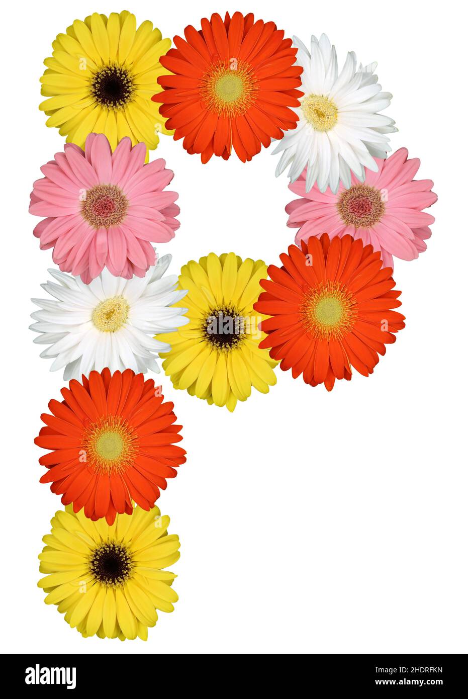 lettre, p, gerbera, lettres Banque D'Images