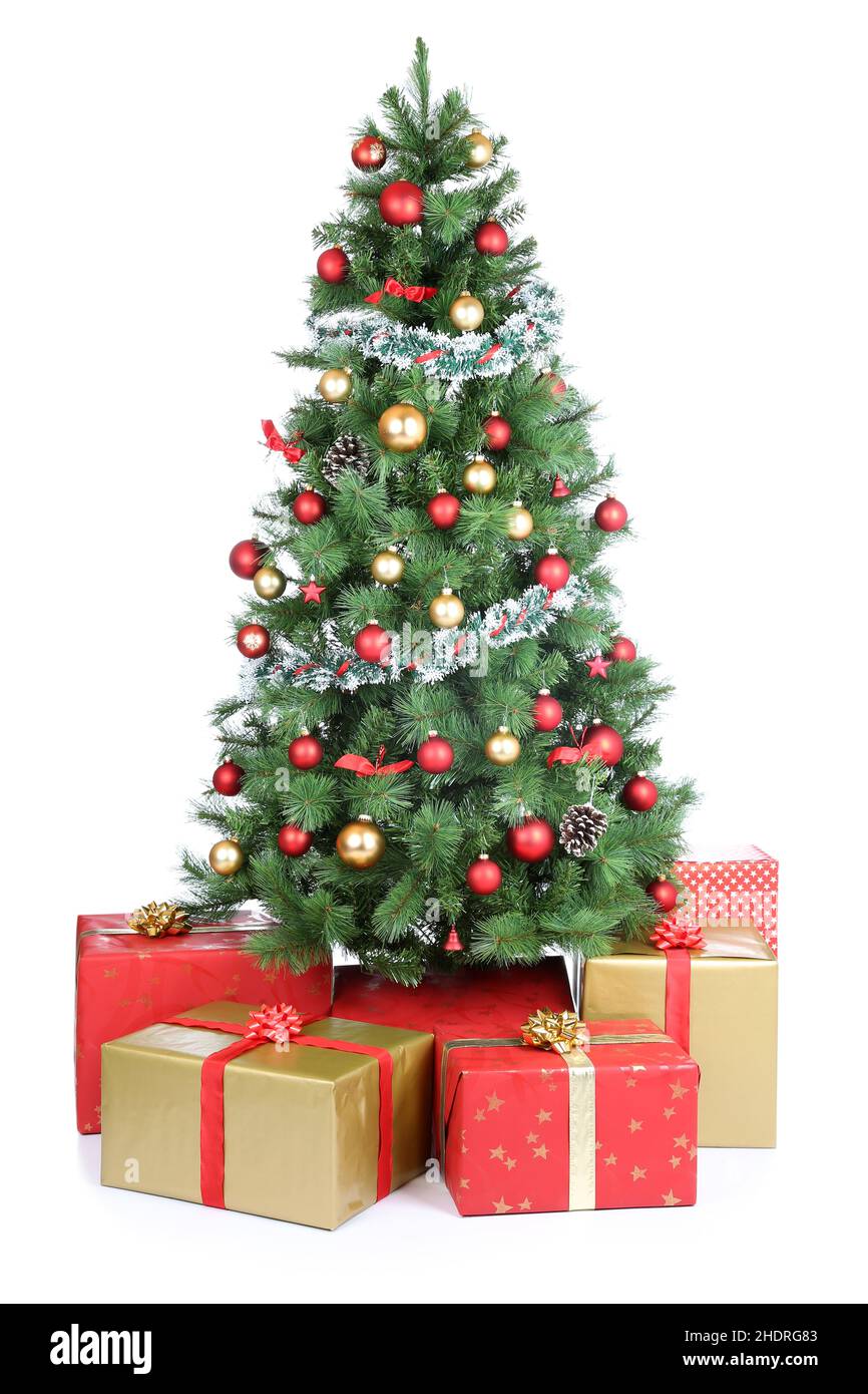 arbre de noël, la veille de noël, arbres de noël, les fêtes de noël Banque D'Images