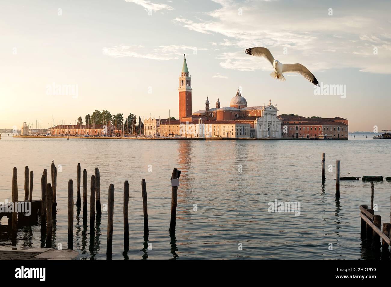 venise, campanile, san giorgio maggiore, venices, campaniles,san giorgio maggiores Banque D'Images