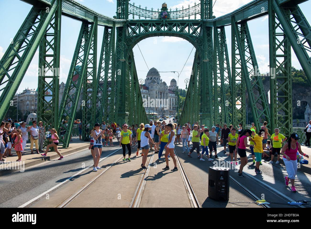 budapest, pont de la liberté, bourgeonnement, ponts de la liberté Banque D'Images