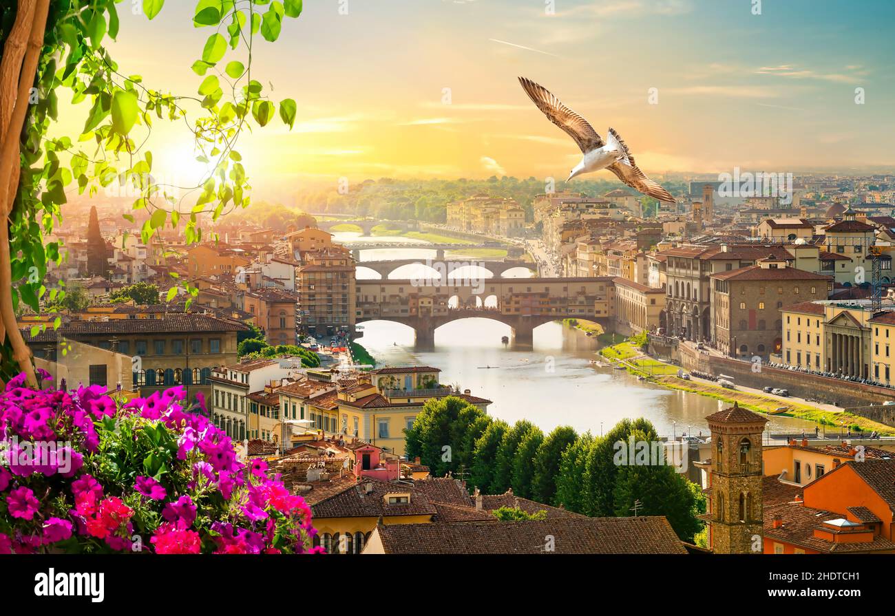 florence, ponte veccio, fleurs Banque D'Images