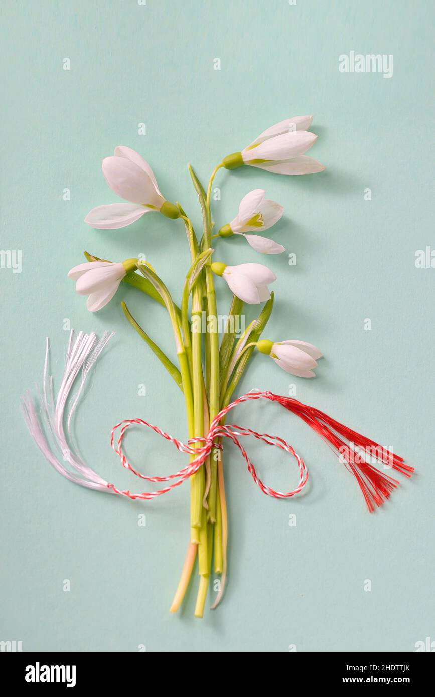 bouquet, boule de neige, bouquets, gouttes de neige Banque D'Images