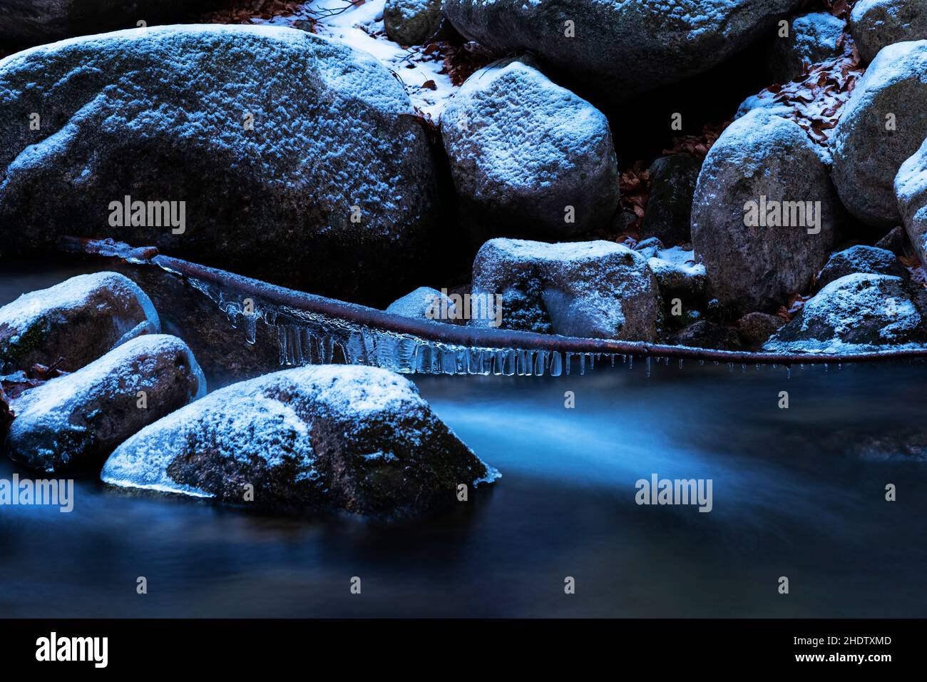 Heure bleue, ruisseau de montagne dans les Carpates en Pologne.Une énorme masse de pierres couvertes de neige et de glace.Branche à base de pierre avec cristaux de glace Banque D'Images