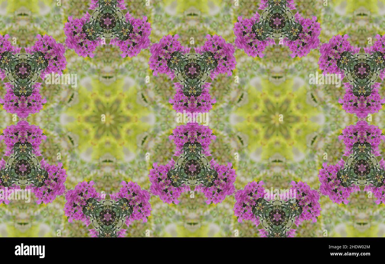 motif floral, kaléidoscope, fractal, motifs floraux, motifs,kaléidoscopes Banque D'Images