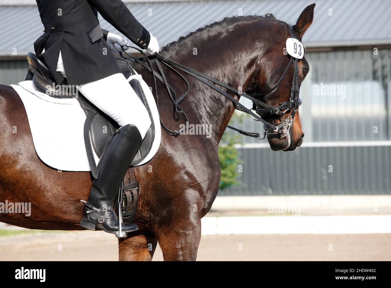 équitation, spectacle équestre, dressage, promenade, spectacles équestres,des habillages Banque D'Images