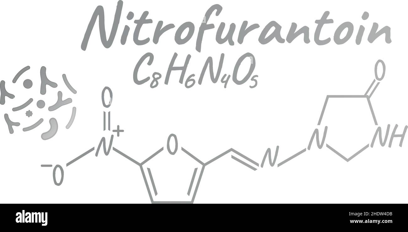 Nitrofurantoin antibiotique composition et formule chimique, concept médicament médical structural, isolé sur fond blanc, illustration vectorielle.Antiba Illustration de Vecteur