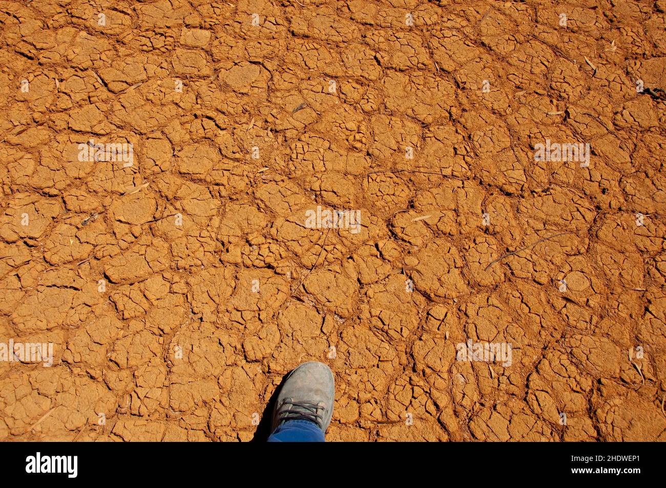 Fissures dans la boue de Dry Lake Banque D'Images