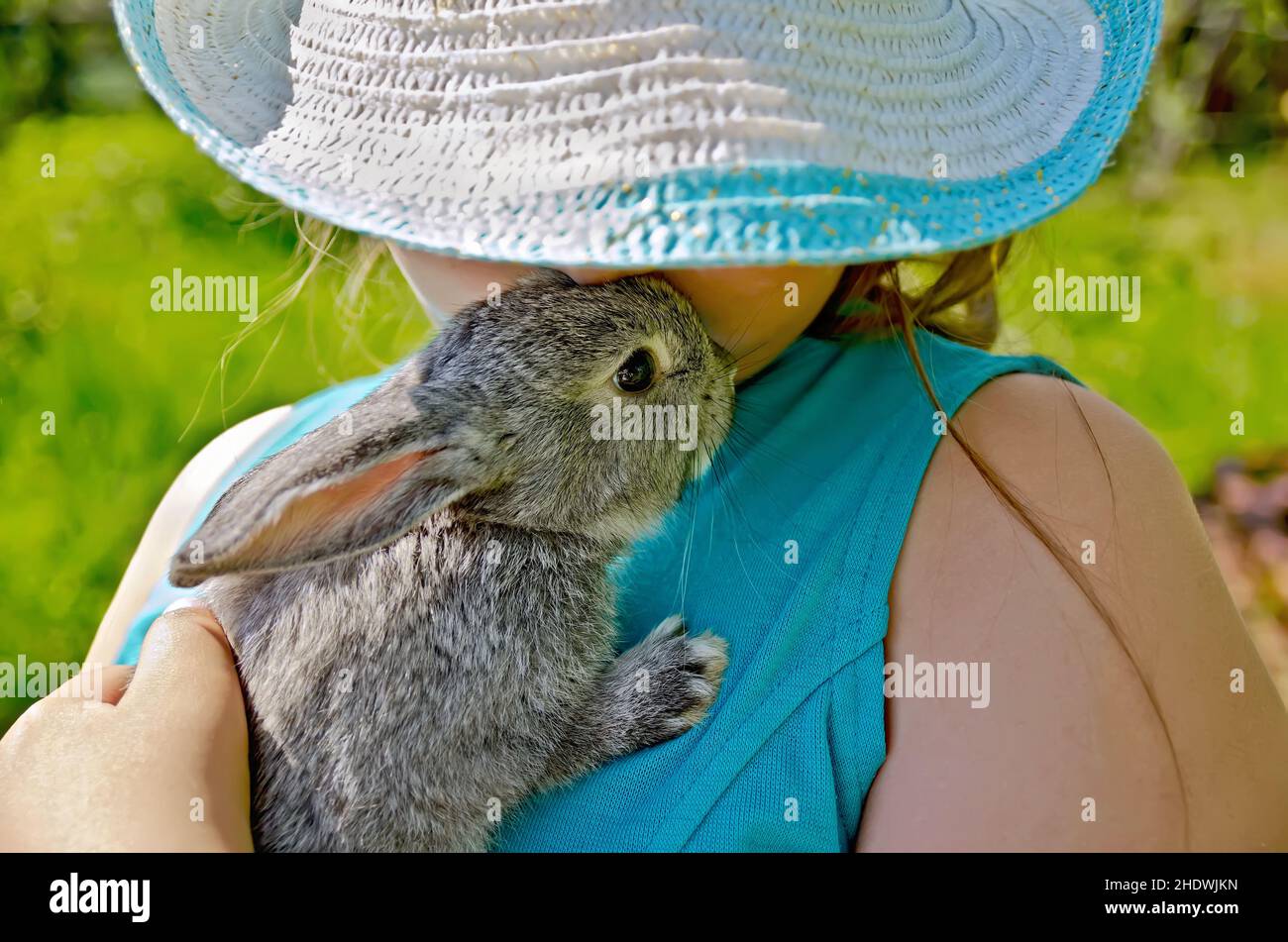 fille, animaux, lapin, animal aimant, filles,animal de compagnie, lapins Banque D'Images