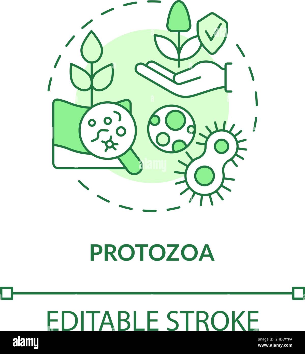 Icône de concept vert de protozoaires Illustration de Vecteur