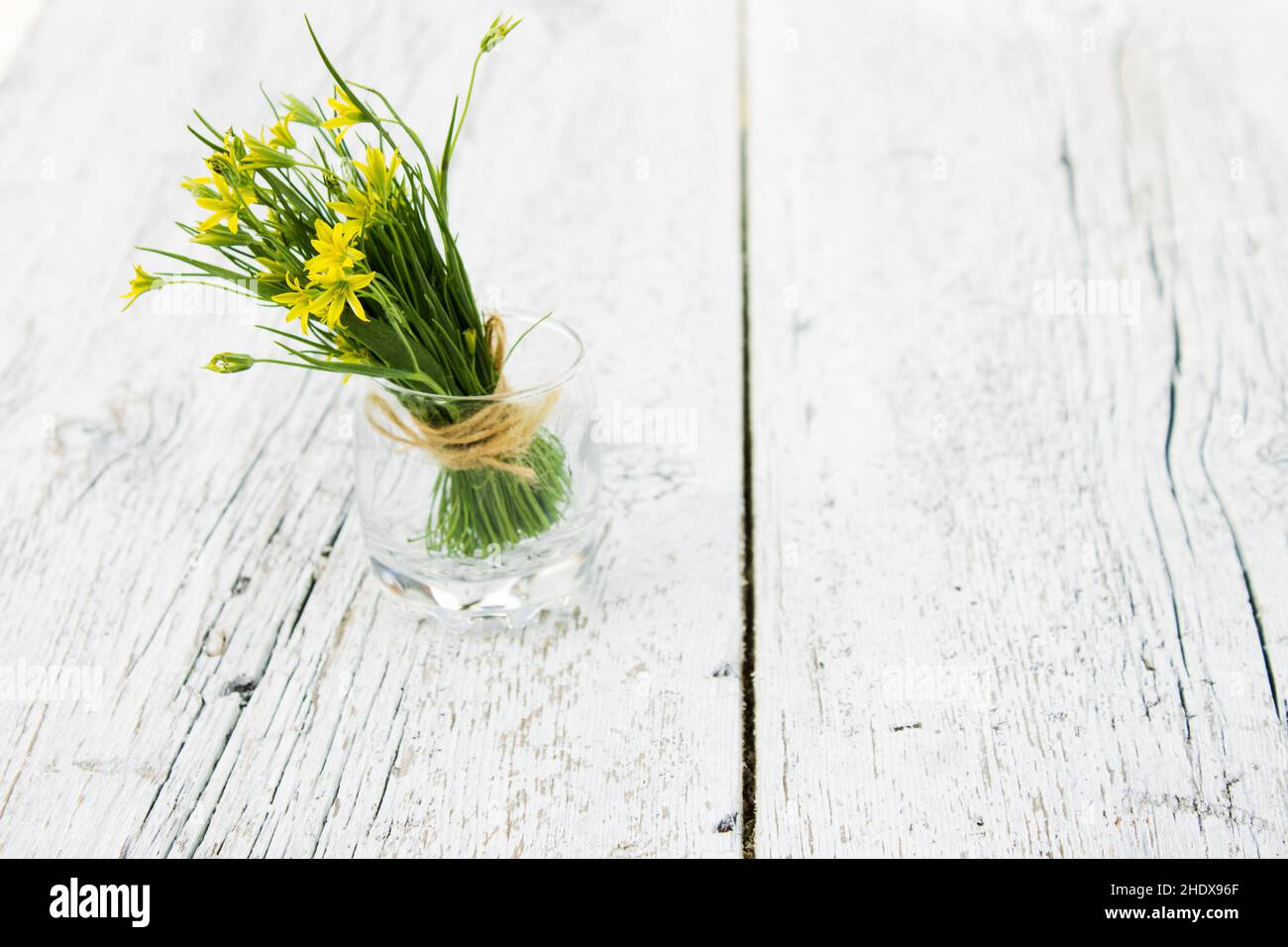 bouquet, bouquets Banque D'Images