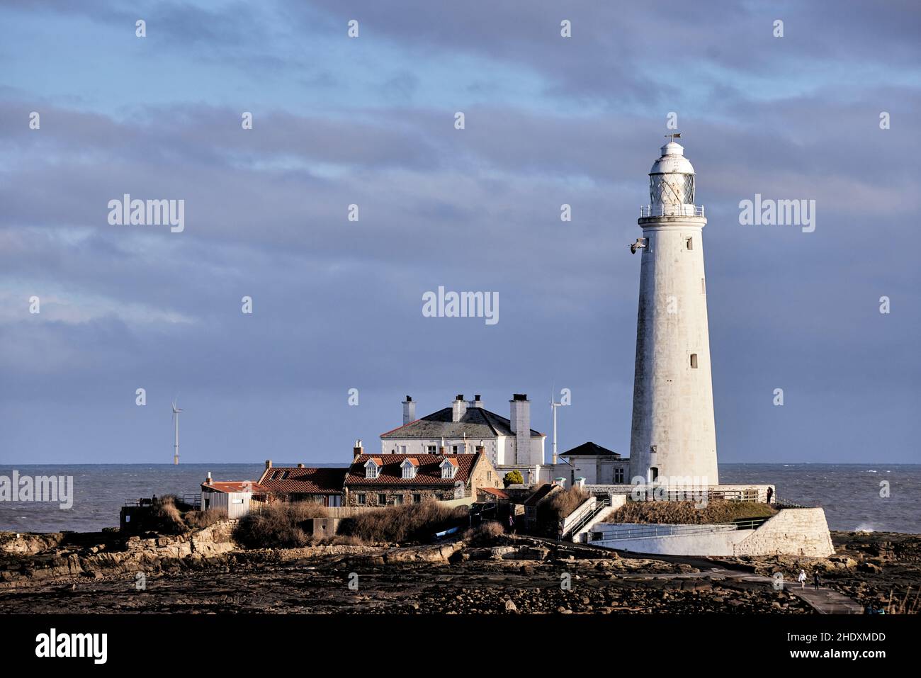 St. Mary's Lighthouse Whitley Bay, ville balnéaire de North Tyneside, Tyne & Wear, Angleterre Banque D'Images