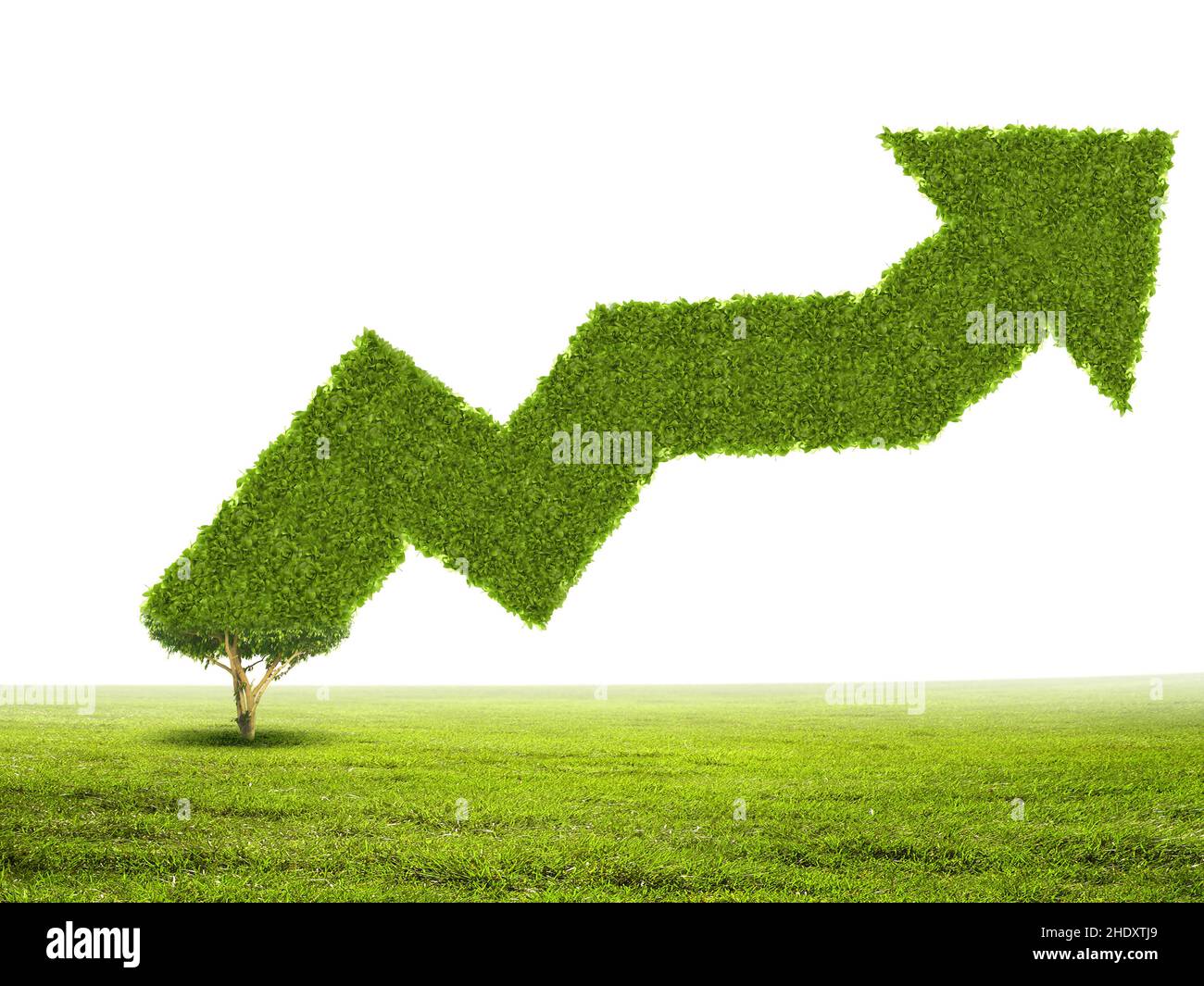 progrès, vers le haut, durabilité, croissance économique, progression,soutient les capacités, les croissances économiques Banque D'Images