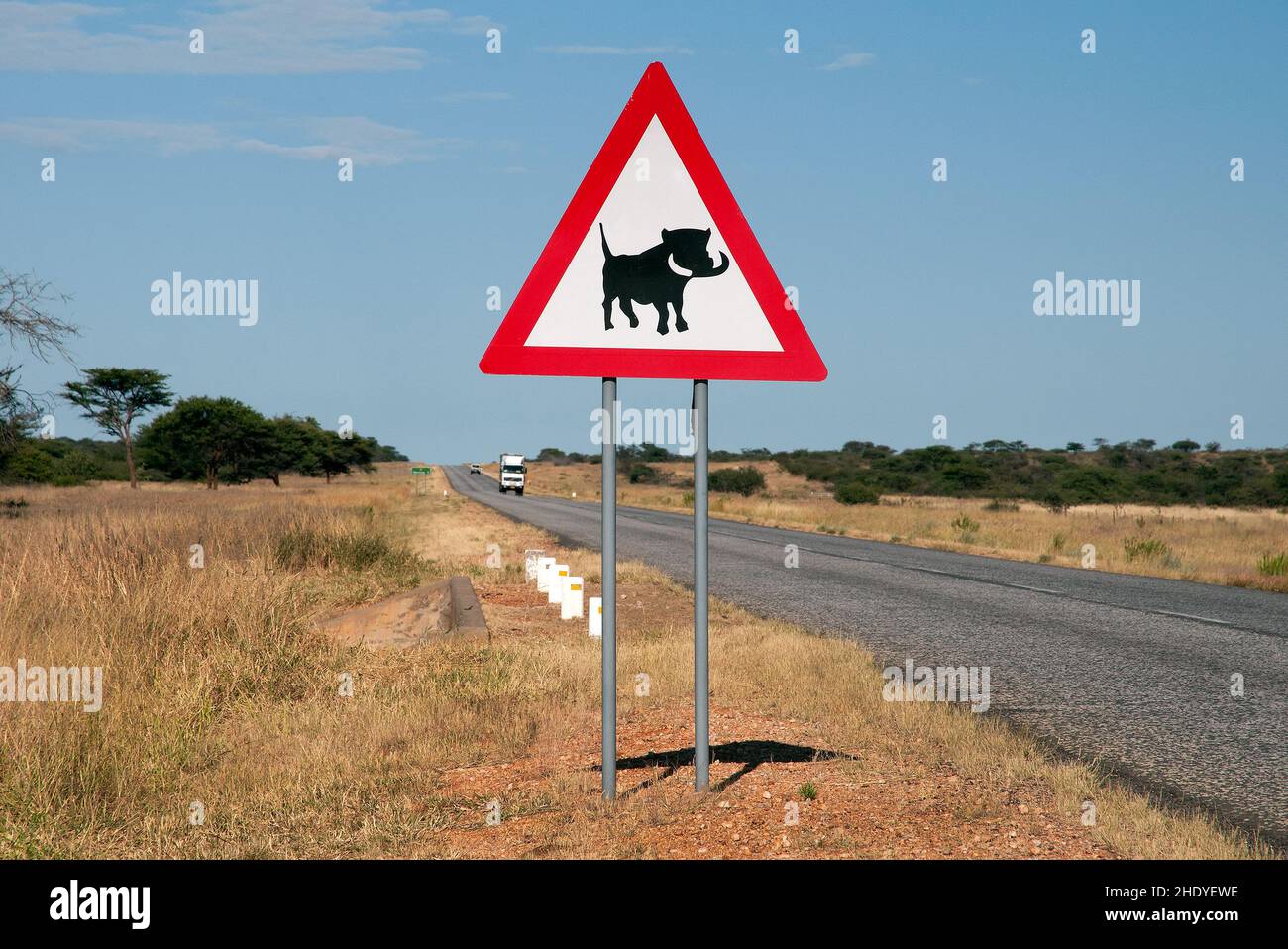 panneau d'avertissement, avertissement, warthog, panneaux d'avertissement, warthogs Banque D'Images