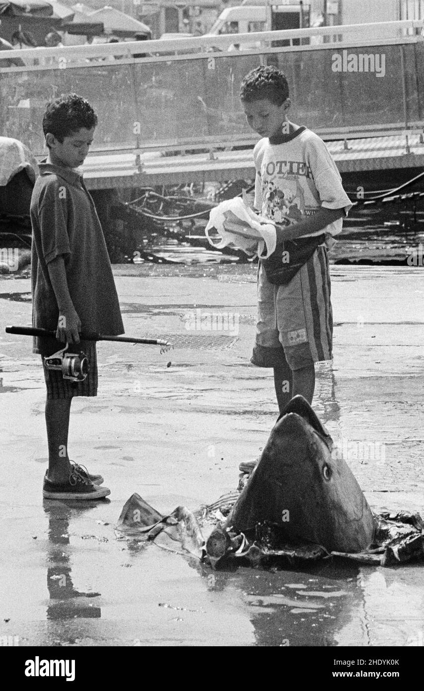 Garçons regardant la tête d'un thon, marché aux poissons sur le quai des Belges, Vieux Port, Marseille, 28 août 1991,Département des Bouches-du-Rhône, région Provence-Alpes-Côte d’Azur, France Banque D'Images