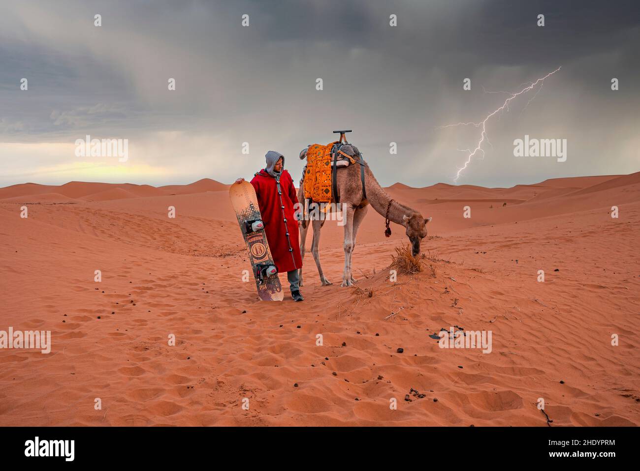 Homme debout à côté de chameau dans le désert avec orage foudre en arrière-plan Banque D'Images