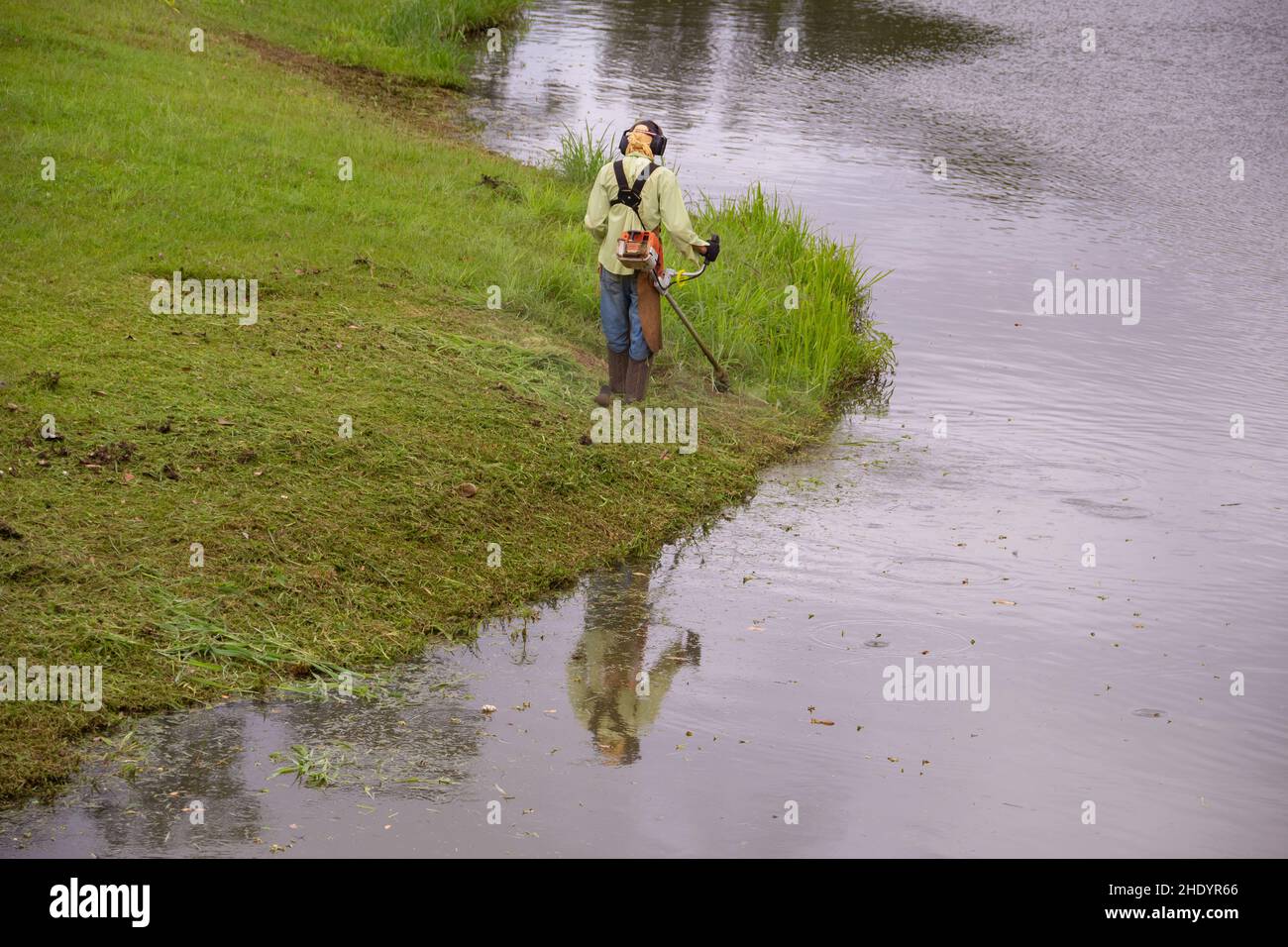 Goias, Brésil – 05 janvier 2022 : un travailleur qui coupe de l'herbe au bord d'un lac à l'aide d'un équipement approprié. Banque D'Images