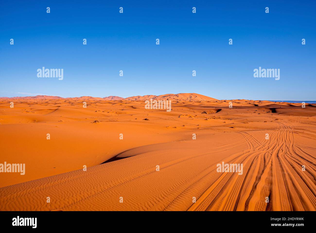 Vue incroyable sur les dunes de sable avec des marques de pneus dans le désert contre un ciel dégagé Banque D'Images