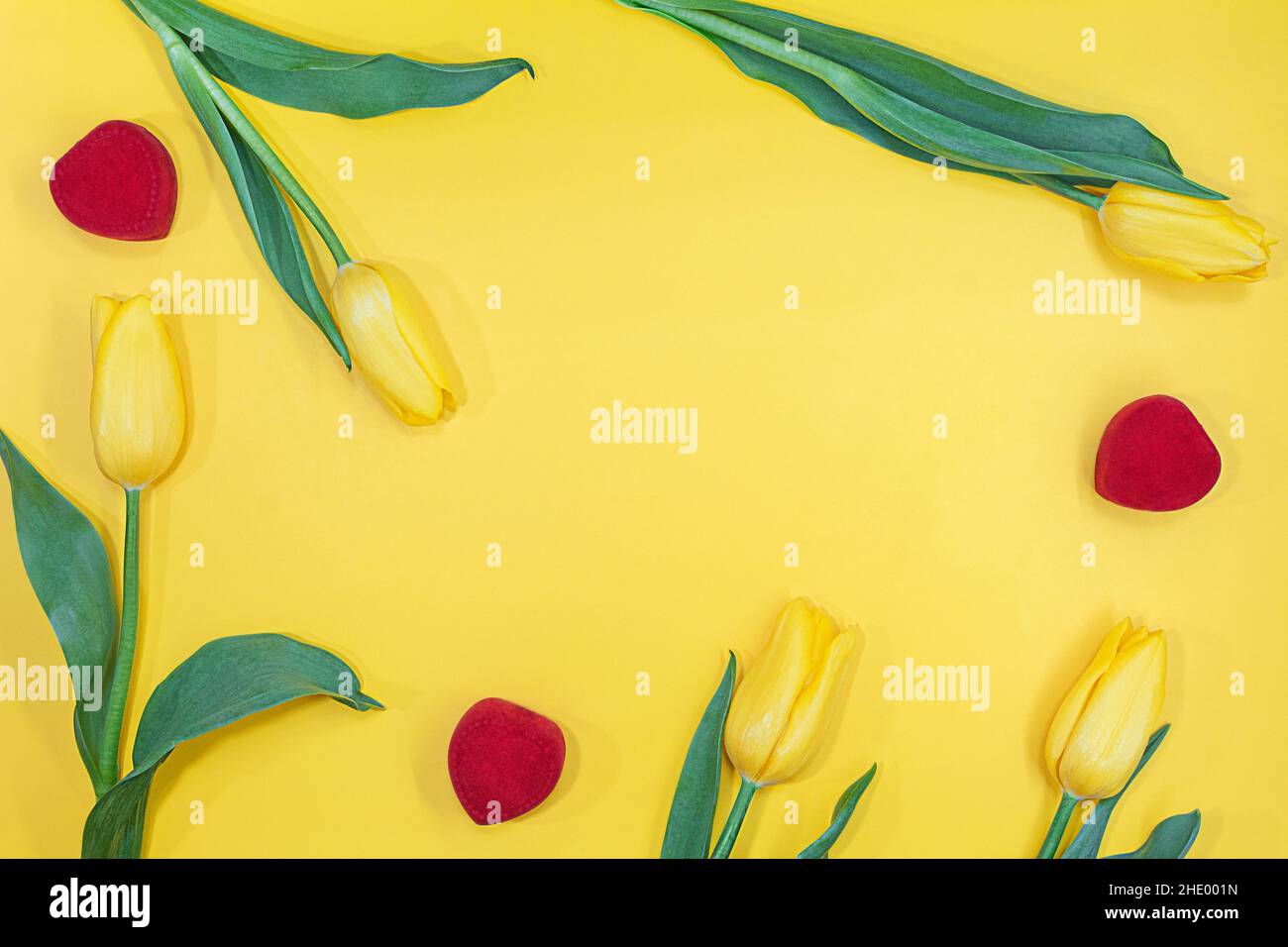 Tulipes avec des boîtes rouges et des coeurs sur fond jaune sous forme de cadre.Ressort.Vacances, anniversaire, Fête des mères, Journée internationale de la femme, 8 mars,S Banque D'Images