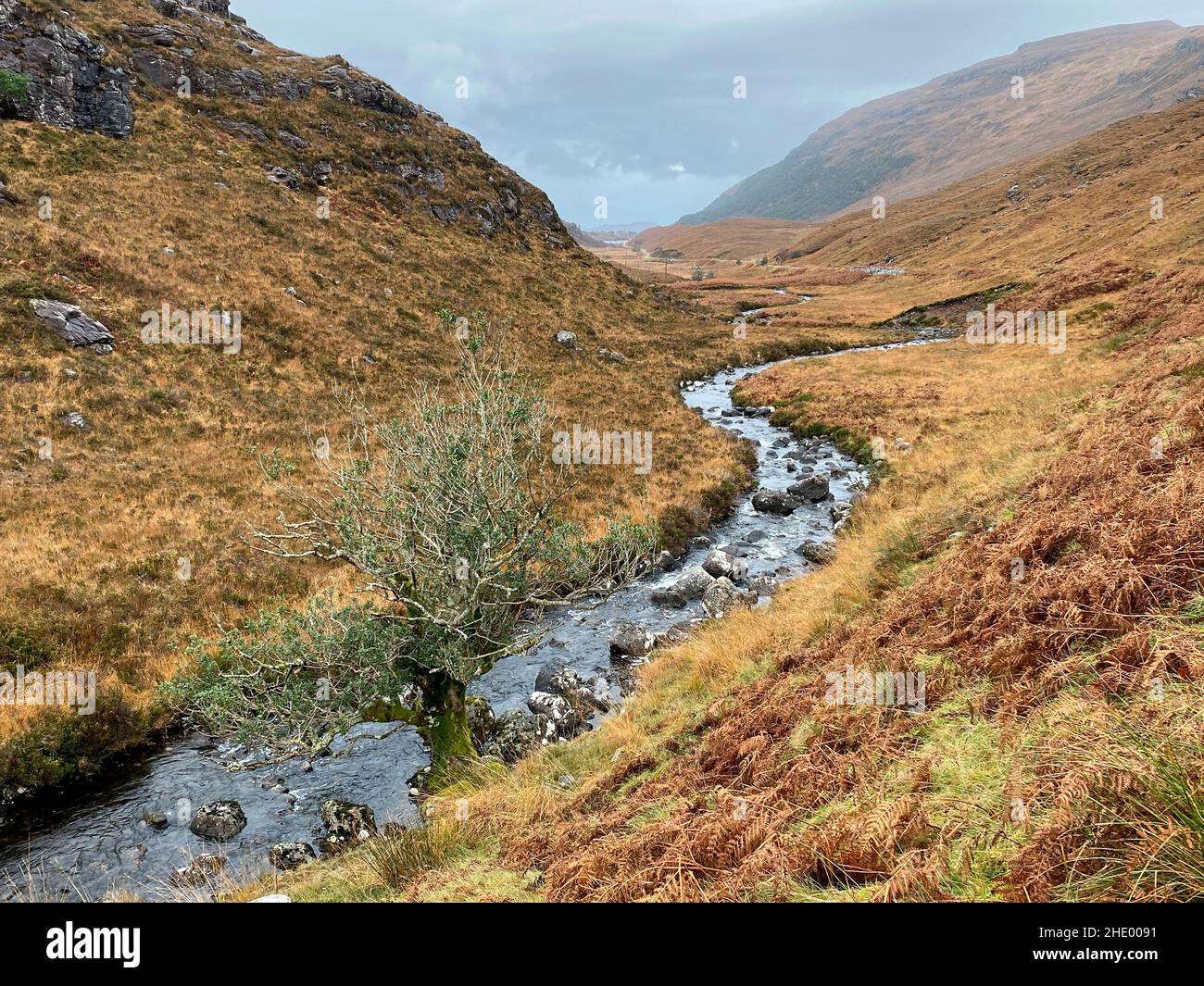 Glen Shielddaig, au sud du Loch Shielddaig, dans les Highlands du Nord-Ouest de l'Écosse. Banque D'Images