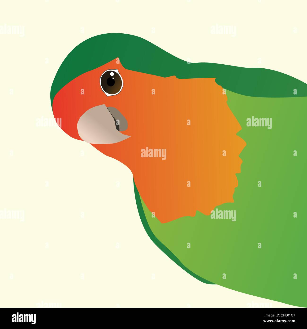 Un dessin vectoriel en couleur d'un oiseau lovebird à face de pêche drôle, également appelé oiseau lovebird à face de rose.L'oiseau rouge vert regarde du côté droit de la piquante Illustration de Vecteur