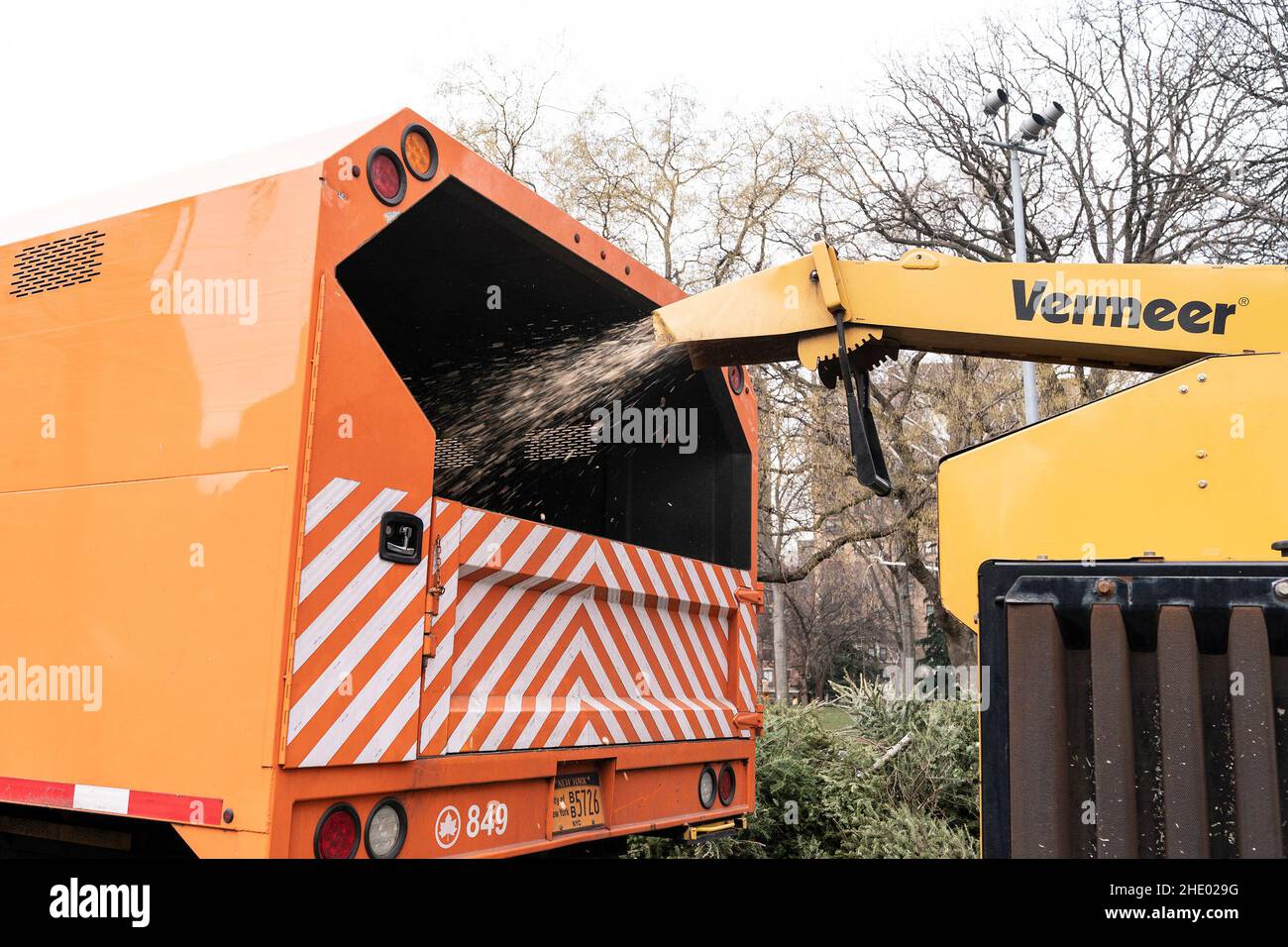 6 janvier 2022, New York, New York, États-Unis : arbres de Noël déchiquetés pendant les parcs de New York et DSNY aperçu prochain week-end de patchfest au parc de Washington Square.Le commissaire par intérim de Parcs NYC Liam Kavanagh, le commissaire du département de l'assainissement de NYC Edward Grayson, le président de Manhattan Borough Mark Levine, le sénateur d'État Brad Hoylman, le membre du Conseil Christopher Marte et le membre du Conseil Erik Bottcher étaient présents pendant la période de prévisualisation.(Credit image: © Lev Radin/Pacific Press via ZUMA Press Wire) Banque D'Images