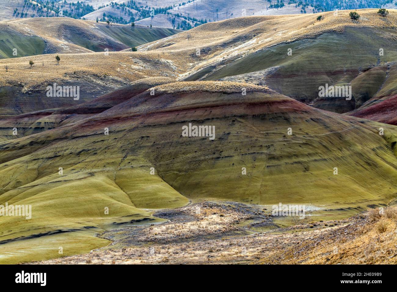 Painted Hills; site géologique; John Day Fossil Beds National Monument; près de Mitchell; Oregon; États-Unis Banque D'Images